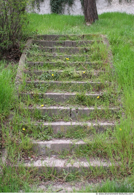 Stairs Hedges