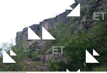 Cliffs Overgrown Rock