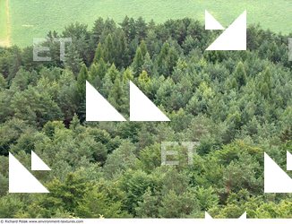 Background Forests