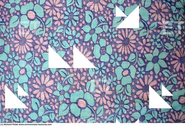Patterned Fabric