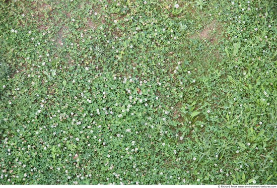 Grass Electronic Black