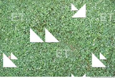 Grass Electronic Black