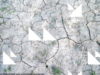 Cracked Soil