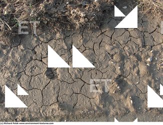 Cracked Soil