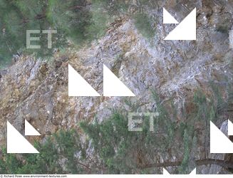 Cliffs Overgrown Rock