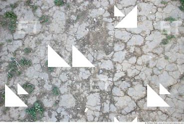 Cracked Soil