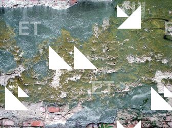 Walls Plaster Damaged