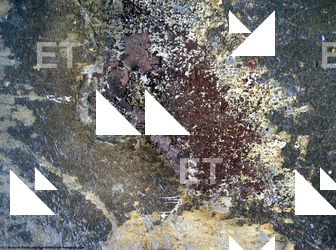 Walls Plaster Damaged