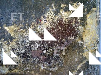 Walls Plaster Damaged