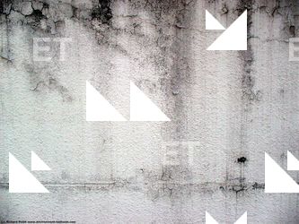 Walls Plaster Damaged