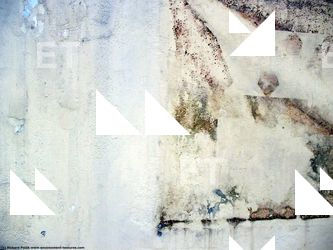 Walls Plaster Damaged