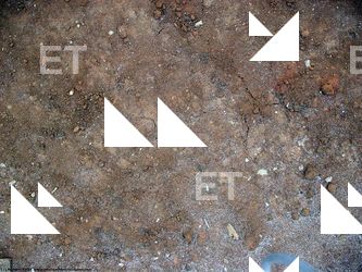 Walls Plaster Damaged