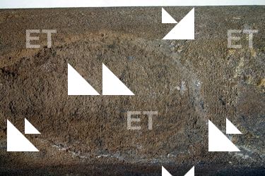 Walls Plaster Damaged