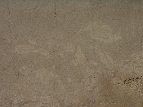 Walls Plaster Damaged