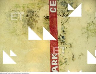 Walls Plaster Damaged