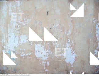 Walls Plaster Damaged