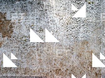 Walls Plaster Damaged