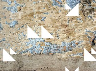 Walls Plaster Damaged