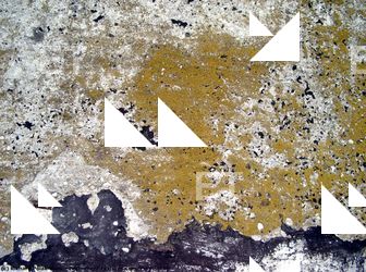 Walls Plaster Damaged