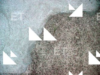 Various Walls Stones