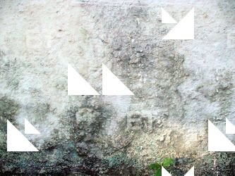 Wall Plaster Leaking