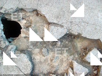 Walls Plaster Damaged