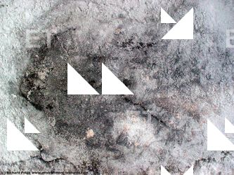 Walls Plaster Damaged