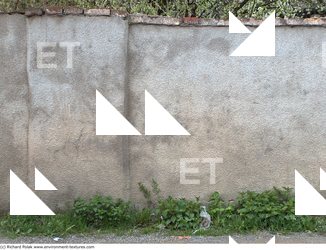 Wall Plaster Leaking