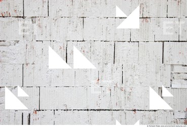 Wall Bricks Plastered