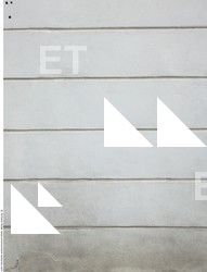 Walls Plaster Damaged