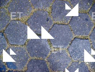 Photo Texture of Hexagonal Tiles