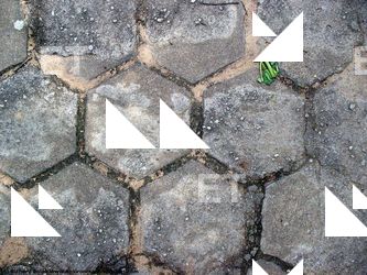 Photo Texture of Hexagonal Tiles