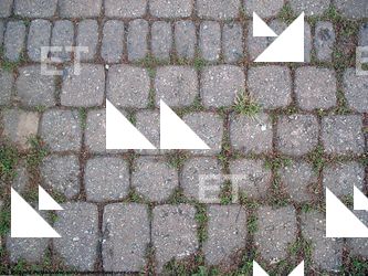 Photo Texture of Overgrown Floor