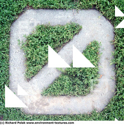 Photo Texture of Overgrown Floor