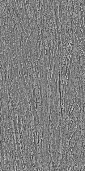Seamless Tree Bark
