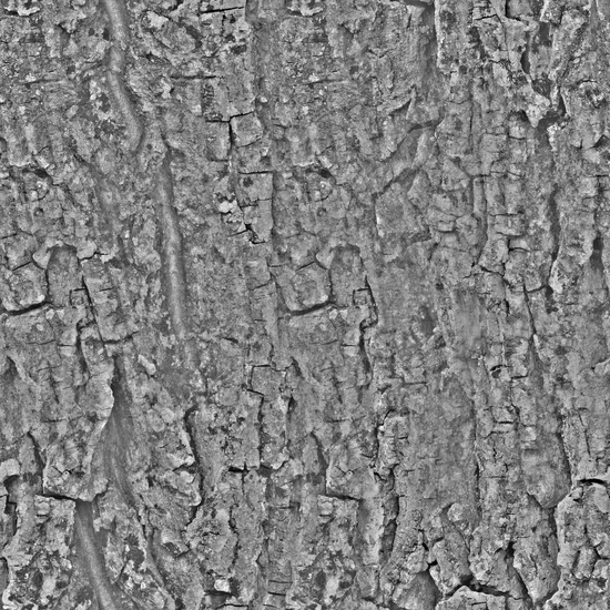 Seamless Tree Bark