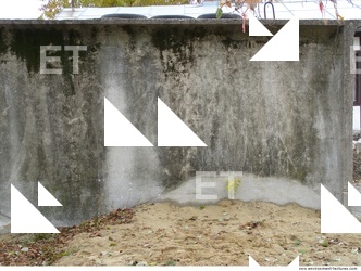 Walls Plaster Damaged