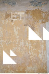 Wall Plaster Paint Peeling