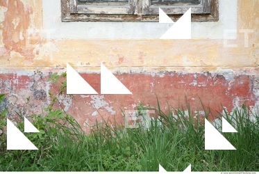 Wall Plaster Paint Peeling