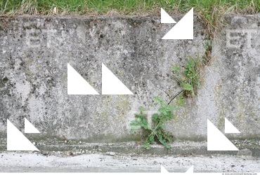 Walls Plaster Damaged