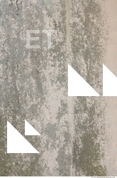 Walls Plaster Damaged