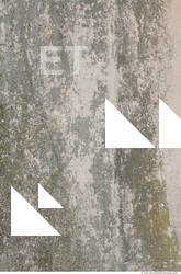 Walls Plaster Damaged