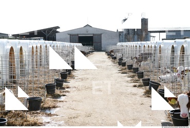 Inspirations Buildings