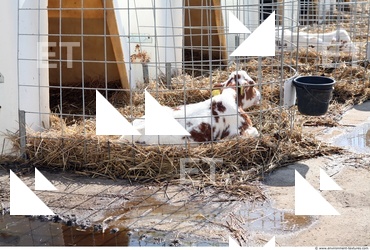 Inspirations Buildings