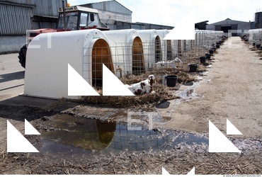 Inspirations Buildings