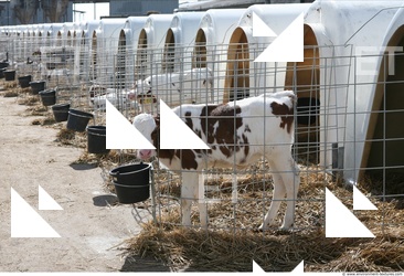 Inspirations Buildings