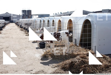 Inspirations Buildings