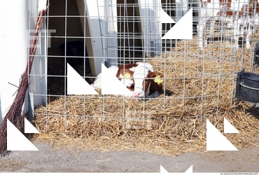 Inspirations Buildings