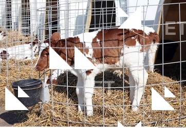 Inspirations Buildings