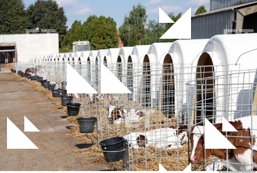 Inspirations Buildings